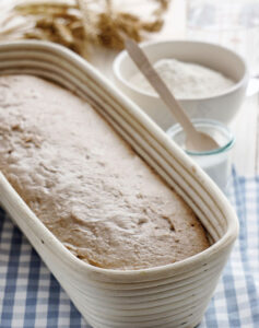 Homemade Sourdough Starter Recipe